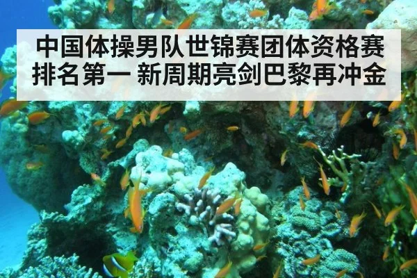 中国体操男队世锦赛团体资格赛排名第一 新周期亮剑巴黎再冲金