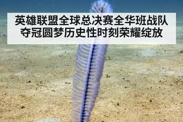 英雄联盟全球总决赛全华班战队夺冠圆梦历史性时刻荣耀绽放